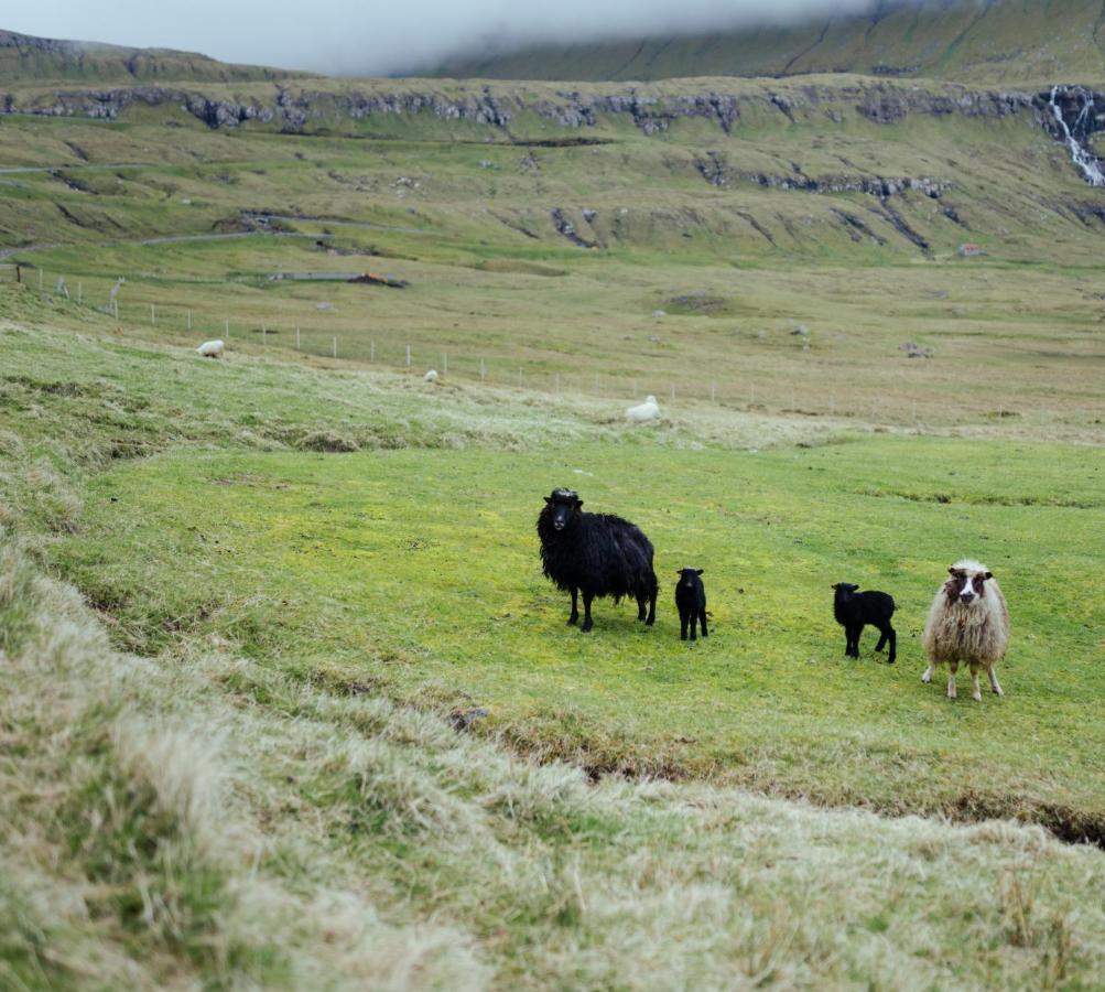 Authentic Faroese House / Unique Location / Nature Hellurnar Kültér fotó